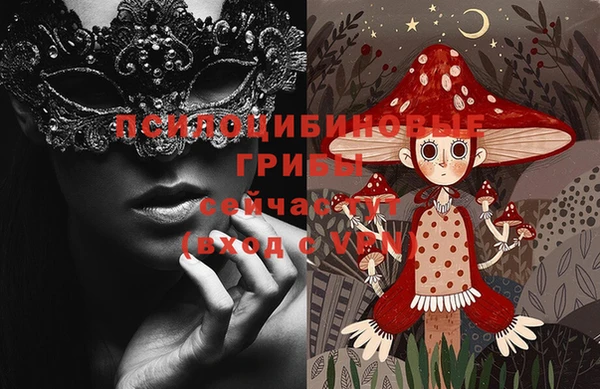 бутират Алзамай